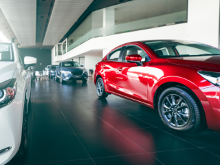 new-cars-in-dealership