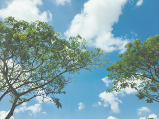 blue-sky