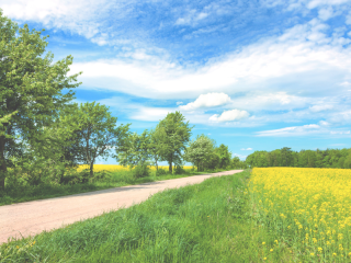 road-in-springtime